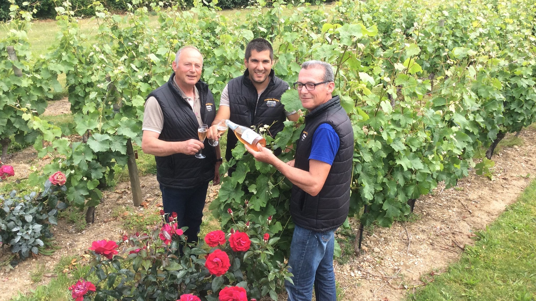 Domaine Dittière