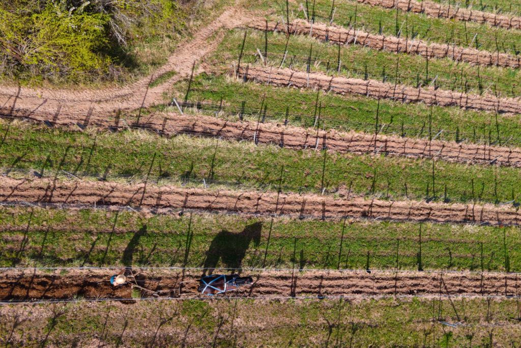 Domaine de l'Envol