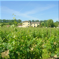 Chateau Court les Muts