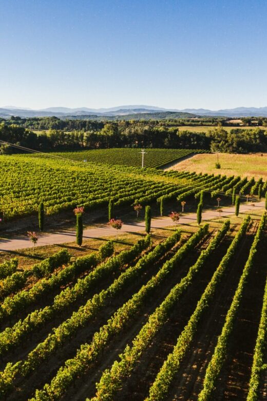 Domaine Gayda