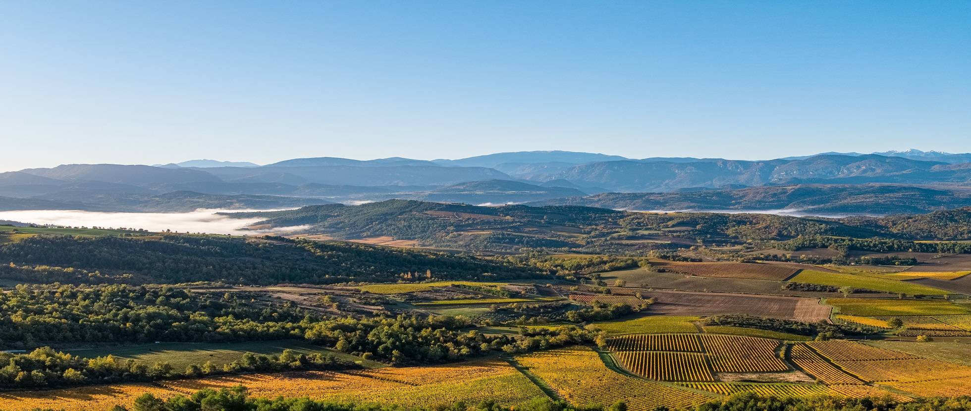 Domaine Delmas