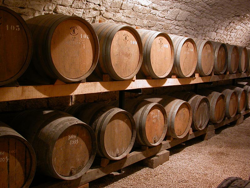 Domaine les pieds sur terre