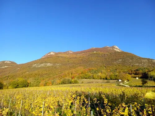 Domaine Chevallier Bernard