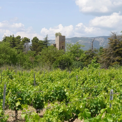 Chateau de Nouvelles