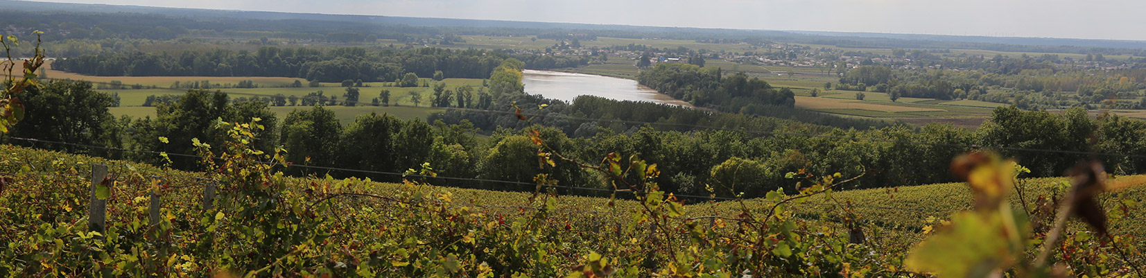 Vignobles Gonfrier