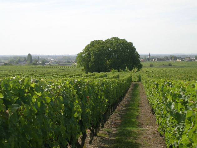 Domaine de la Closerie