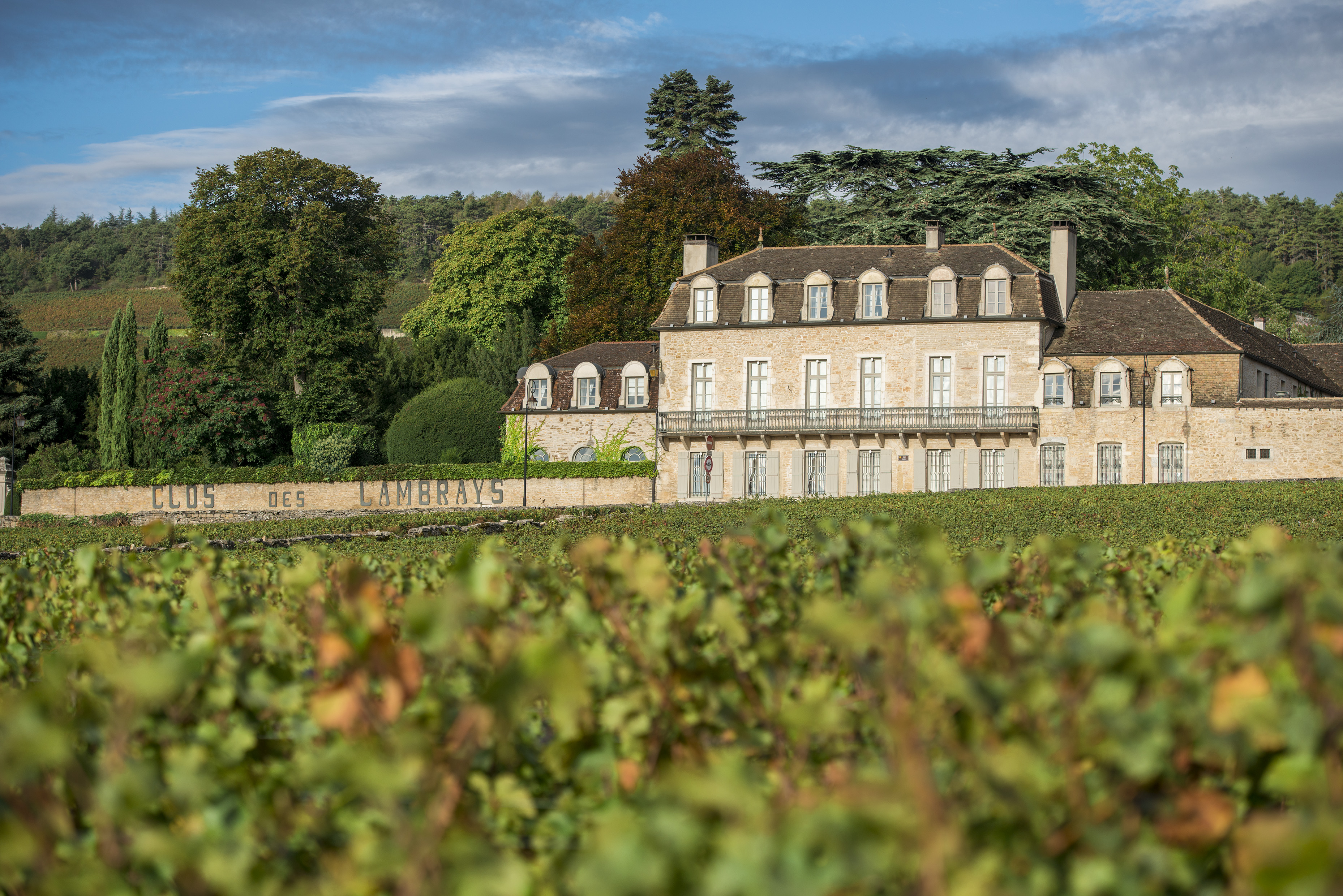 Clos Des Lambrays