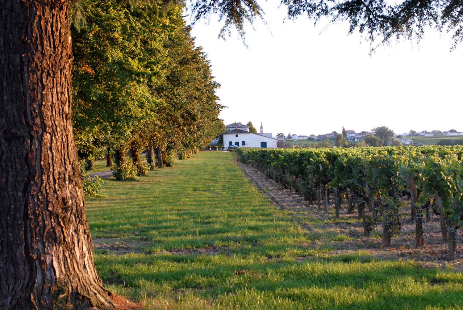 Chateau Belles-Graves