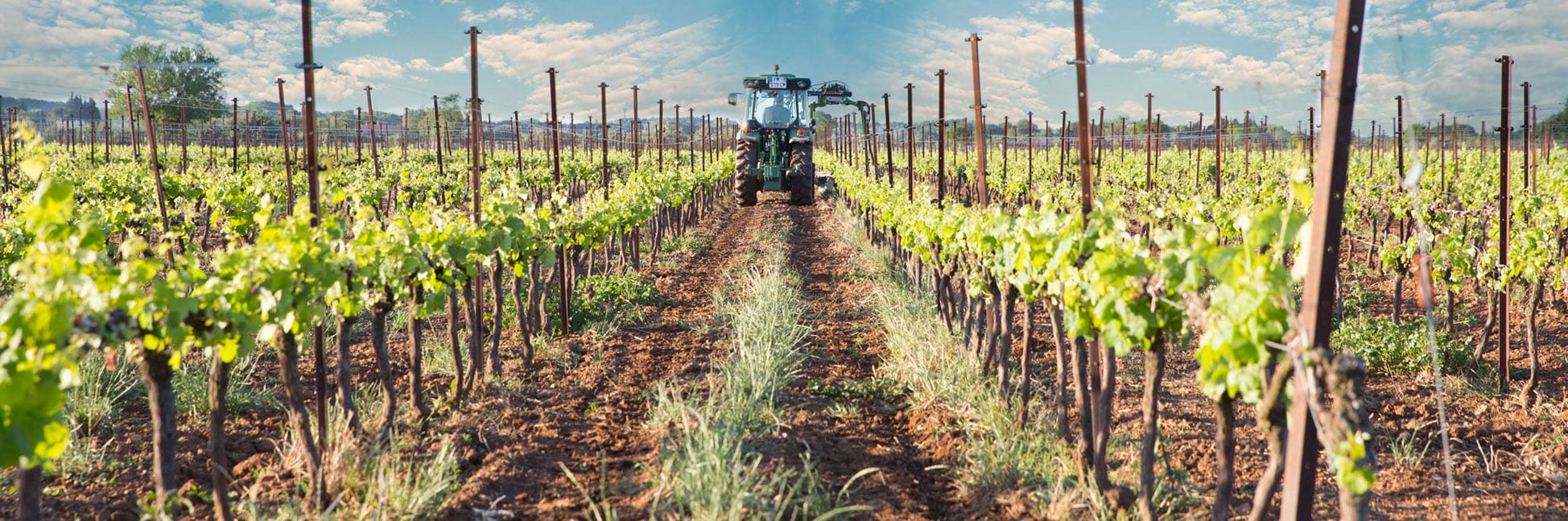Domaine Hivernaty
