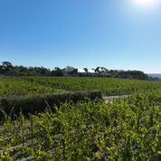 Domaine aux Moines