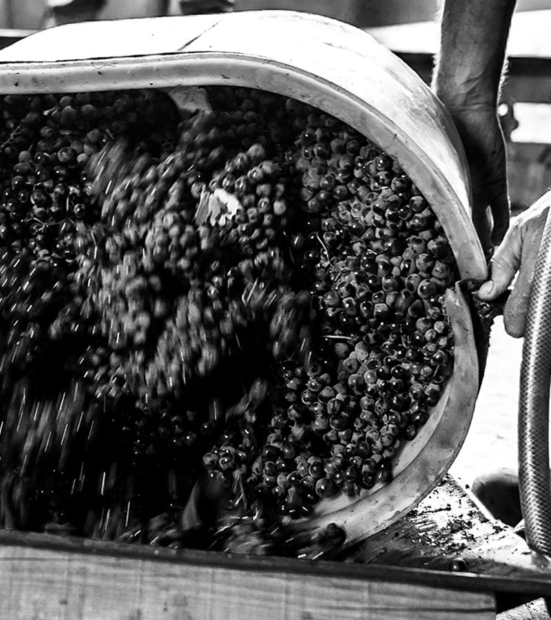 Domaine Lalaurie