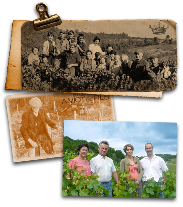 Champagne A. Viot et Fils