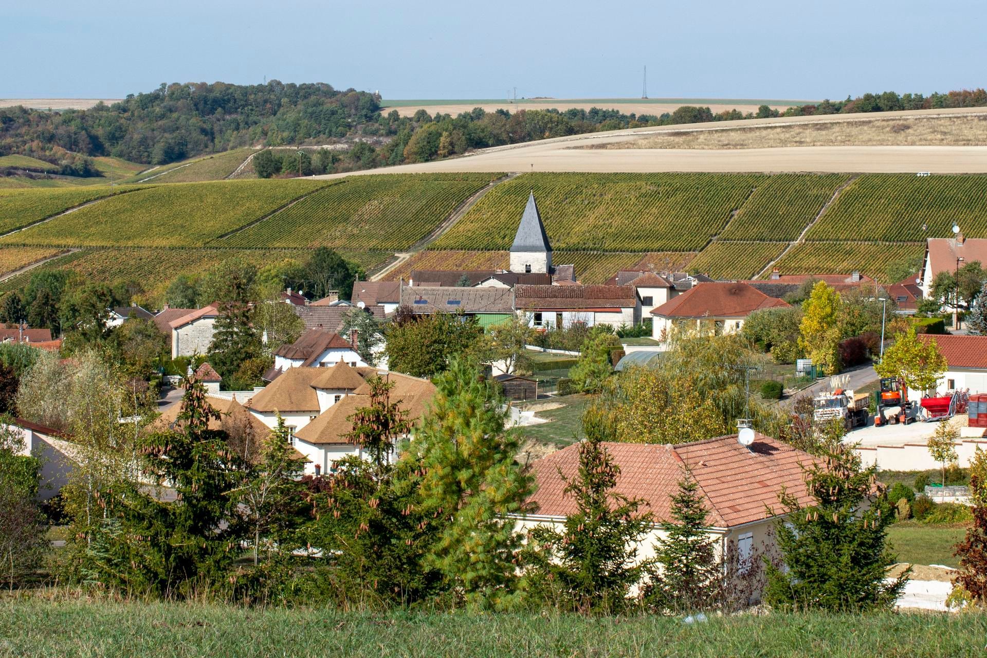 Champagne René Dosne