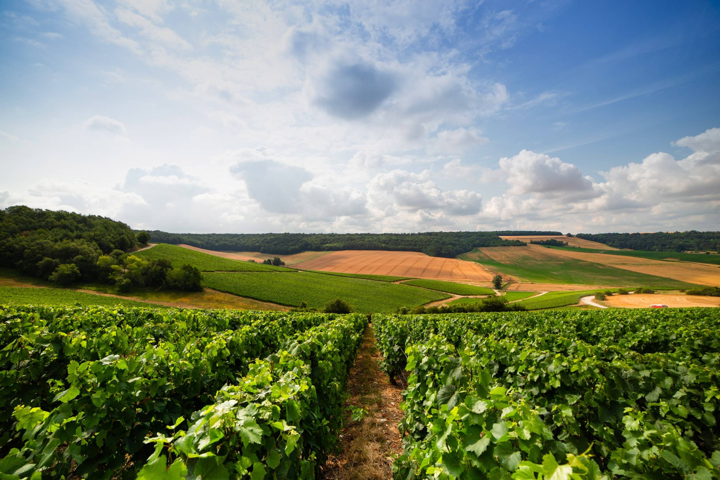 Champagne Soret-Devaux