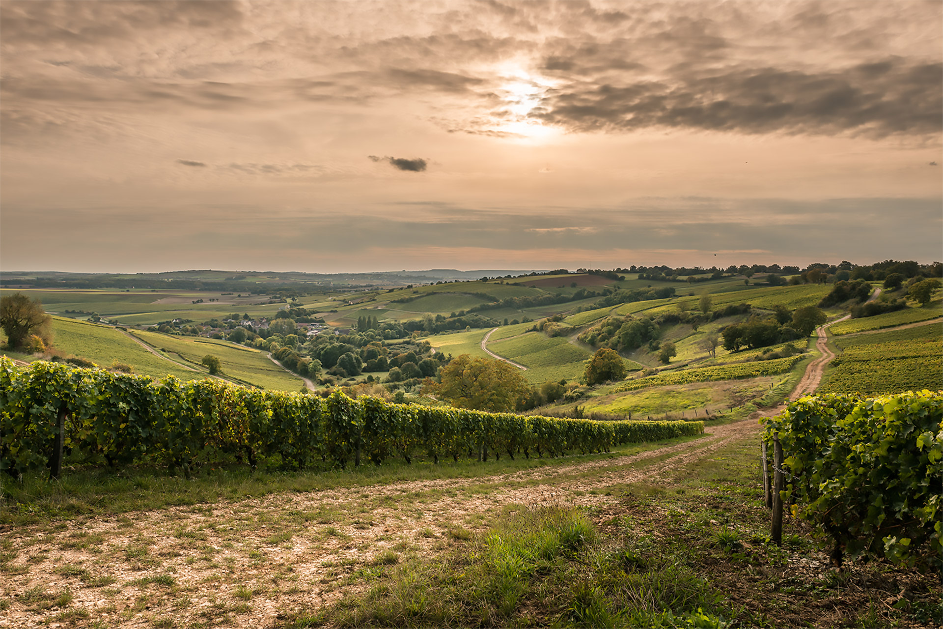 Domaine Sautereau