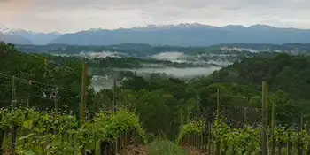 Domaine Cauhape