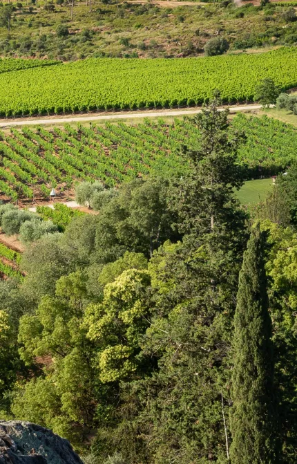 Château d'Esclans
