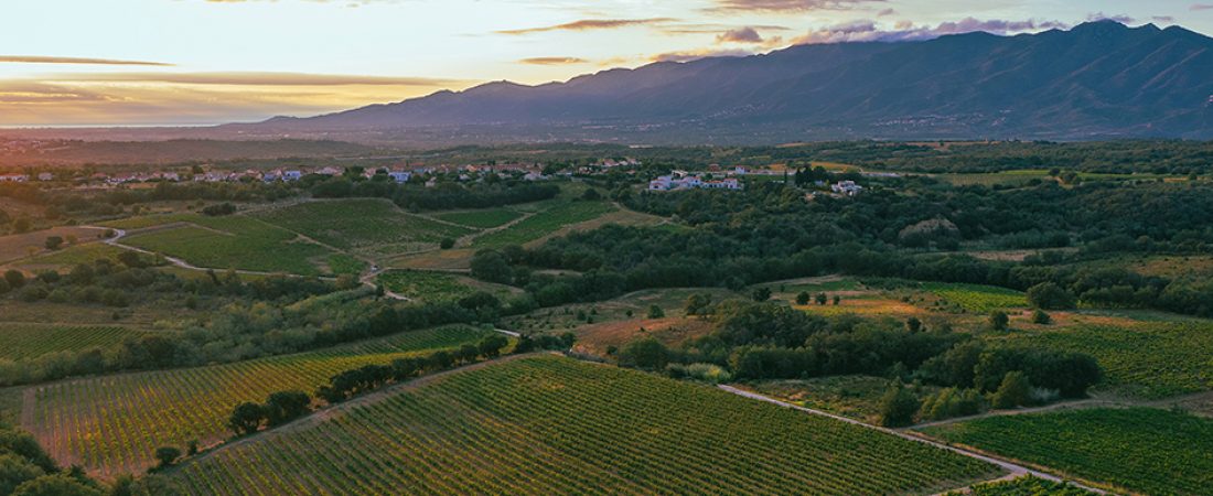 Domaine Trilles