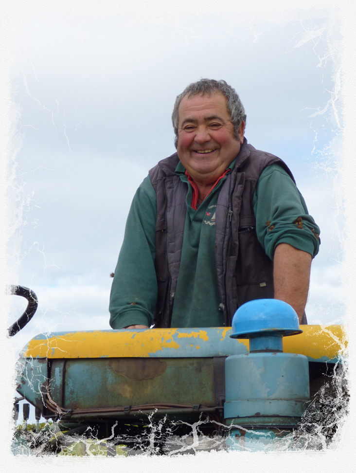 Vignoble Alain Robert