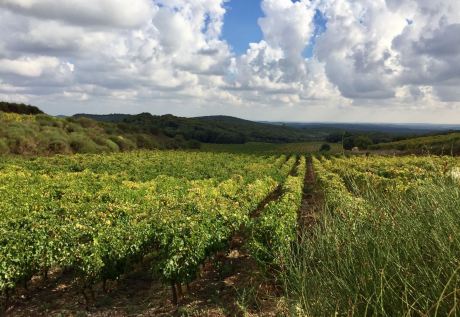 Domaine les Serrals