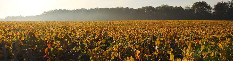 Domaine Poupat et Fils