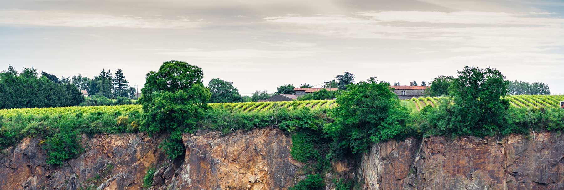 Domaine Cormerais Branger