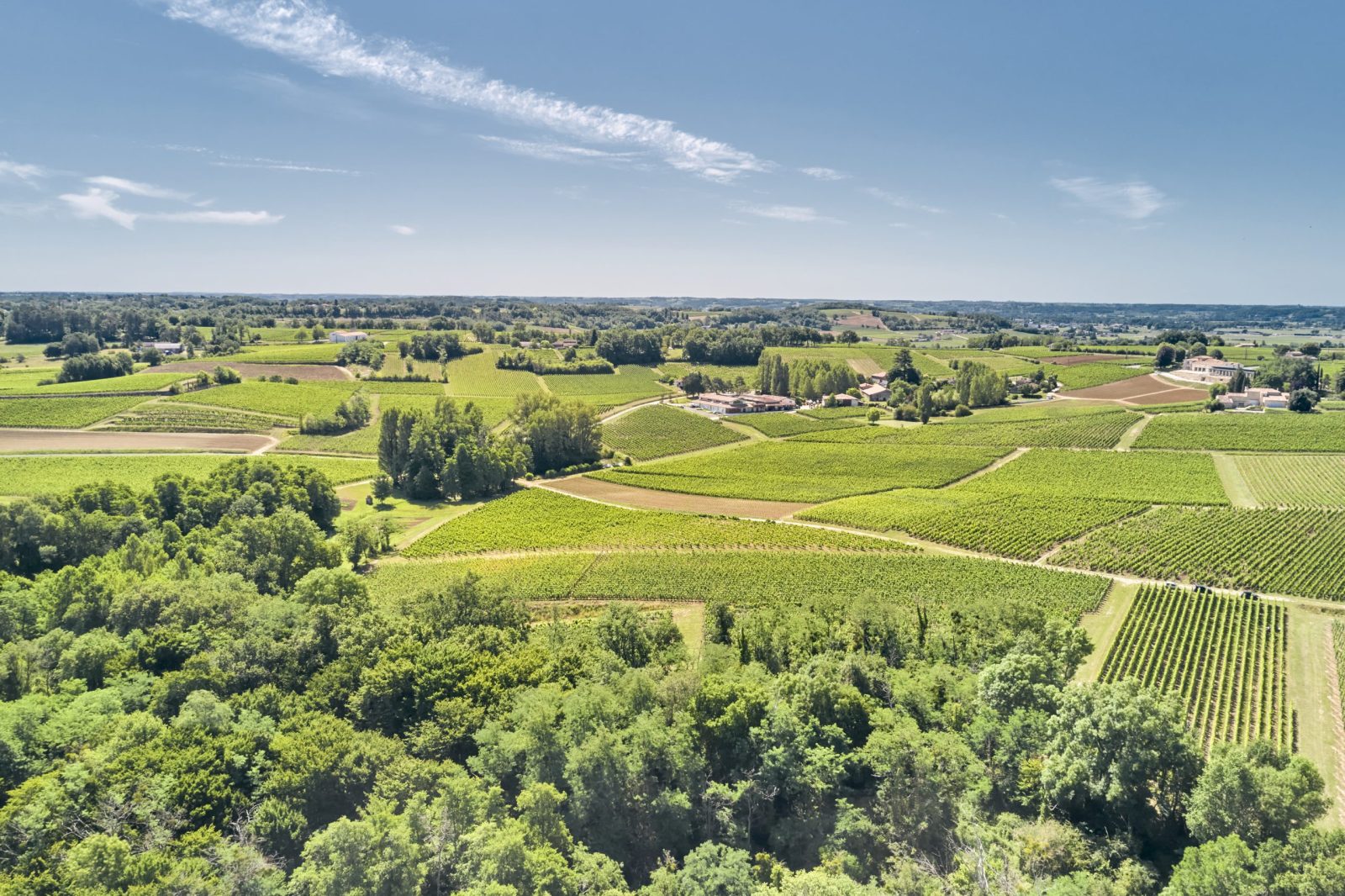 Château Fleur Cardinale