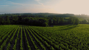 Les Hauts de Sainte Marie