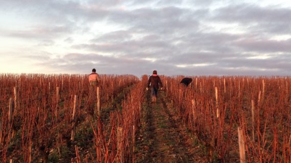 Domaine Jean Teiller