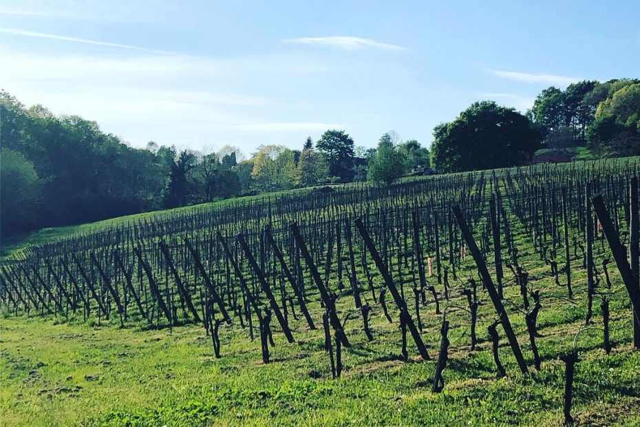 Domaine de Sarros