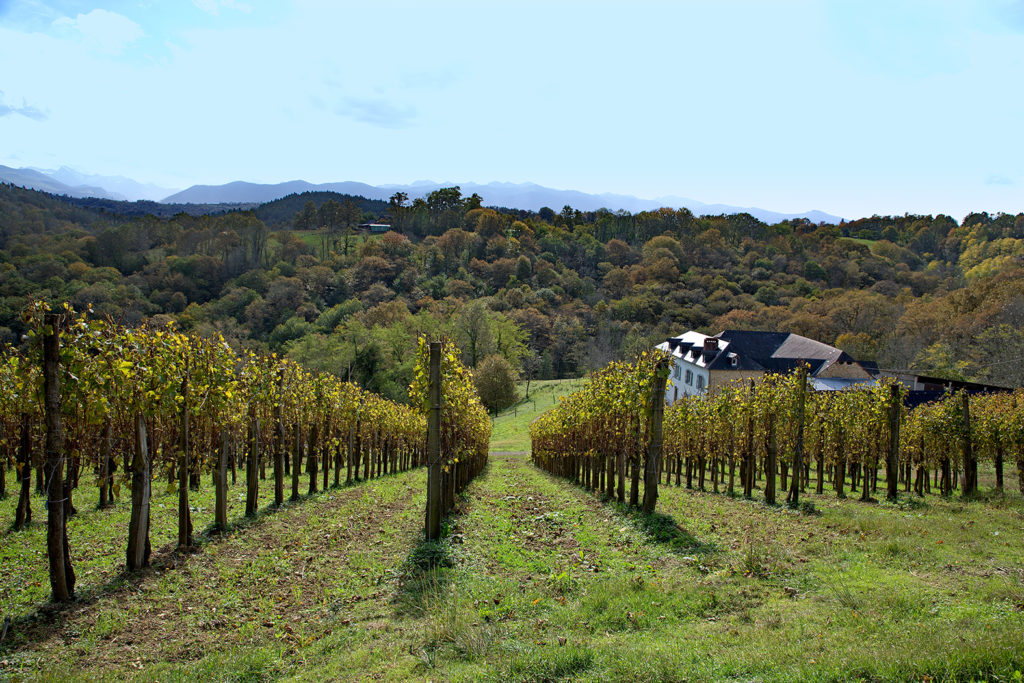 Domaine Tinou