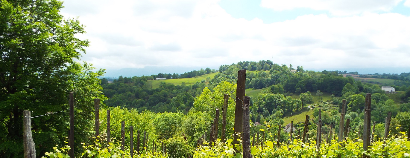 Domaine Latapy