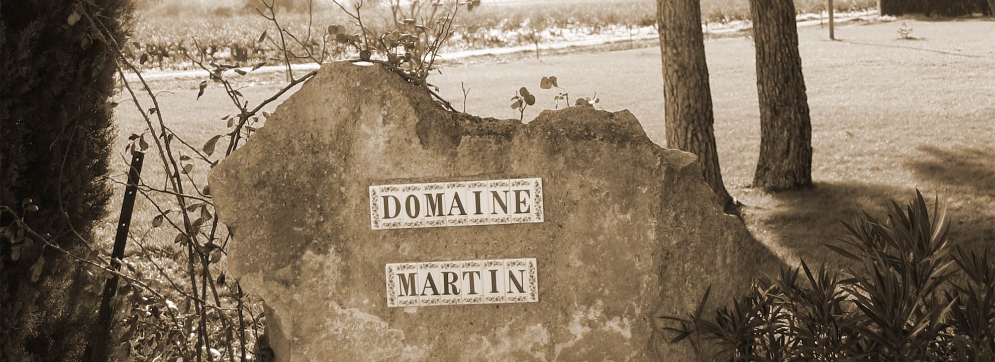 Domaine Martin