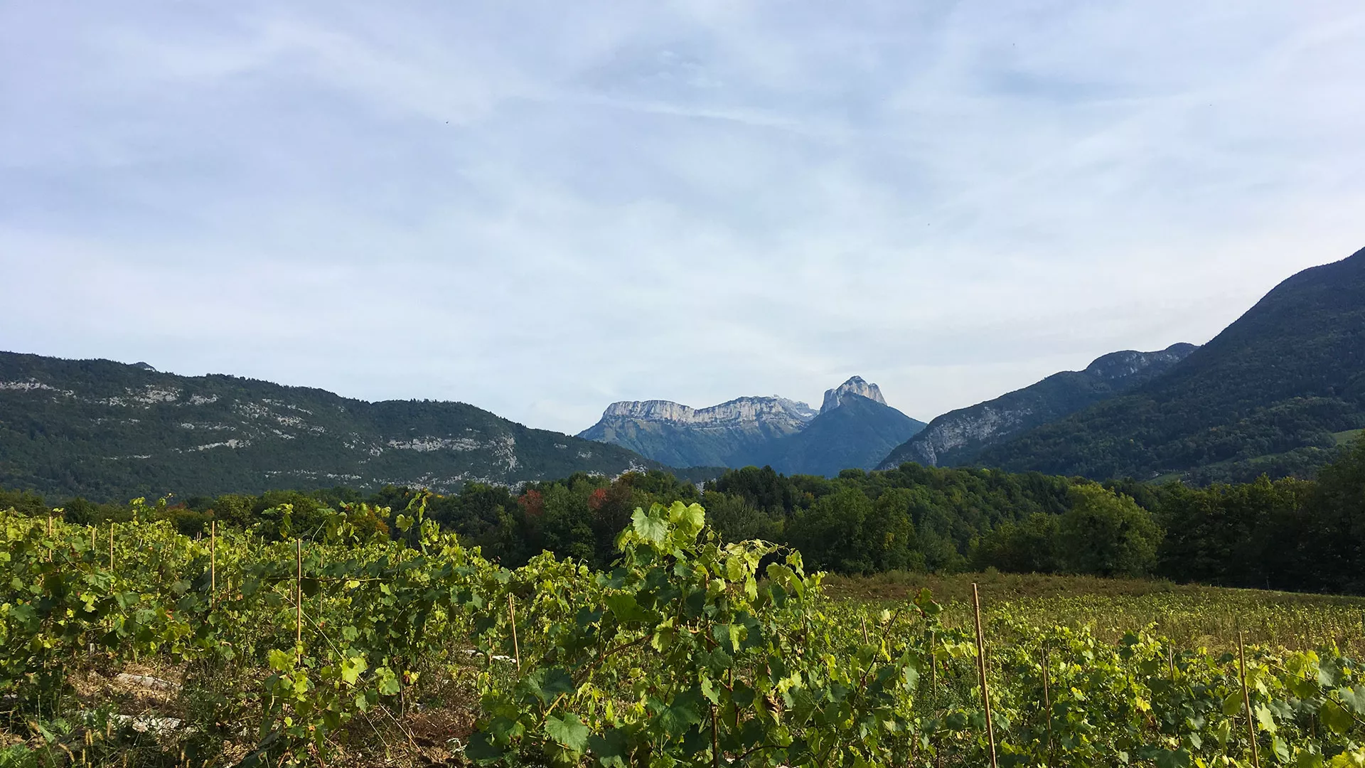 Coteaux des Girondales