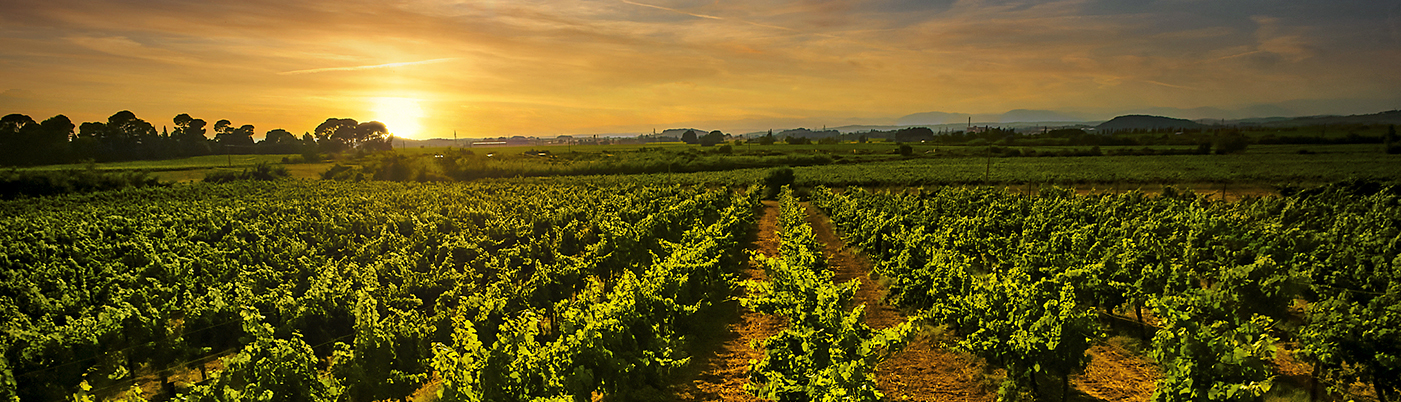 Domaine de la Barthe