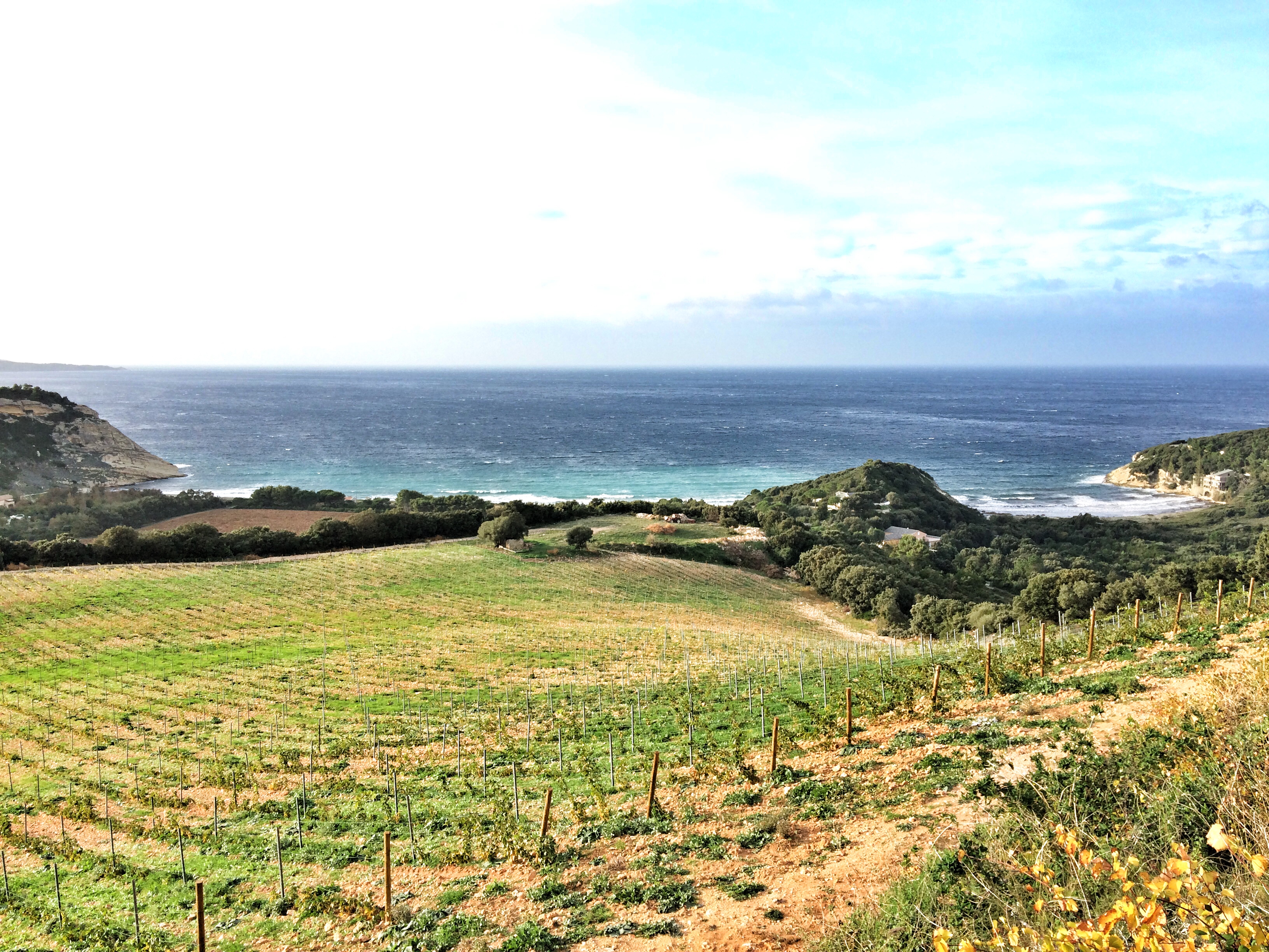 Clos Marfisi