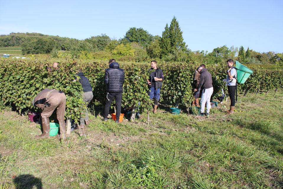 Domaine Menard