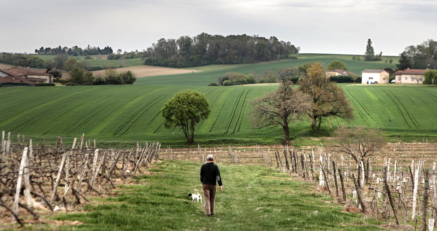 Domaine d'Arton