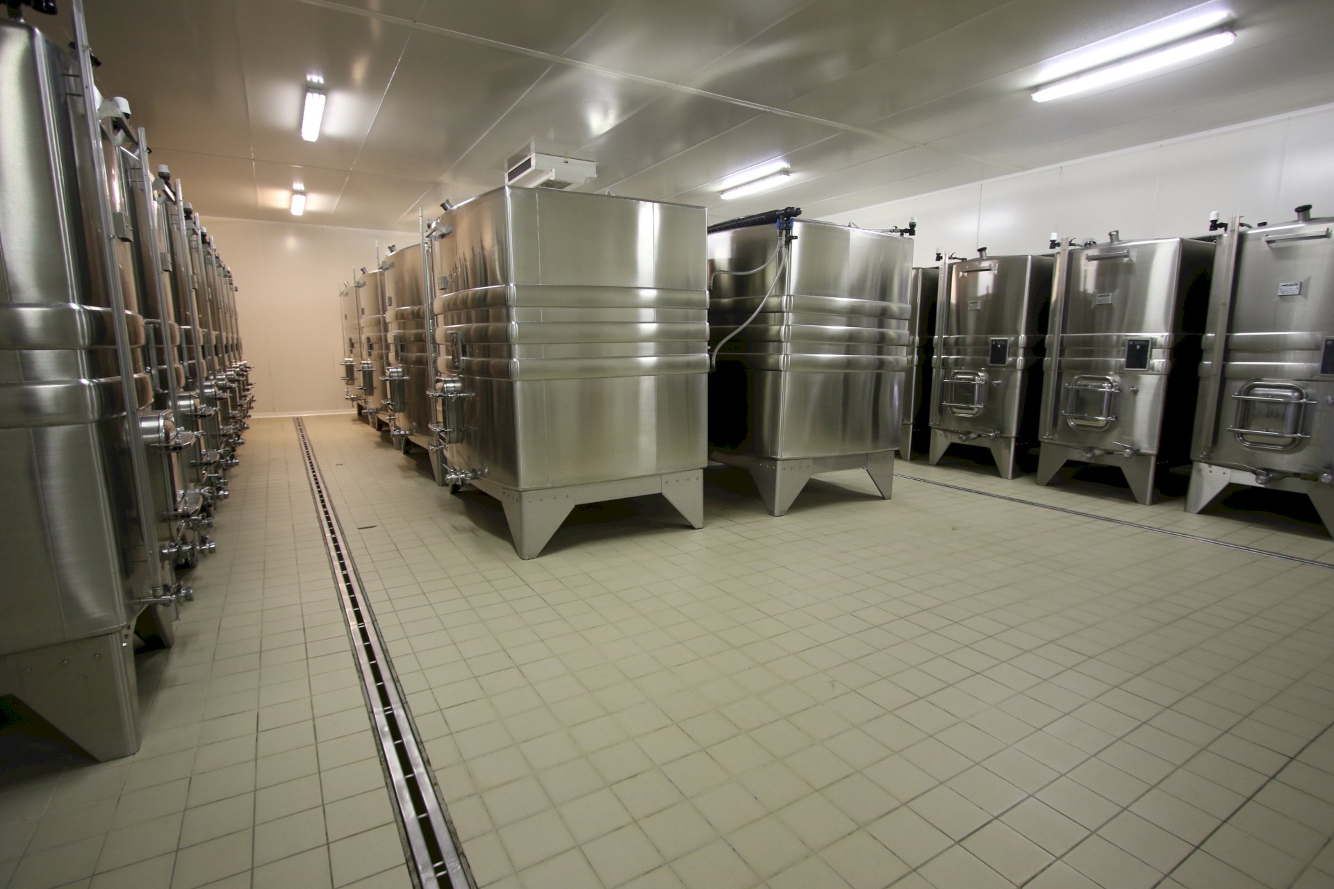 Domaine Tassin