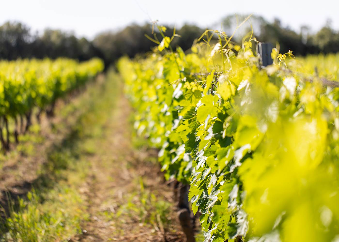 Domaine du Blavet