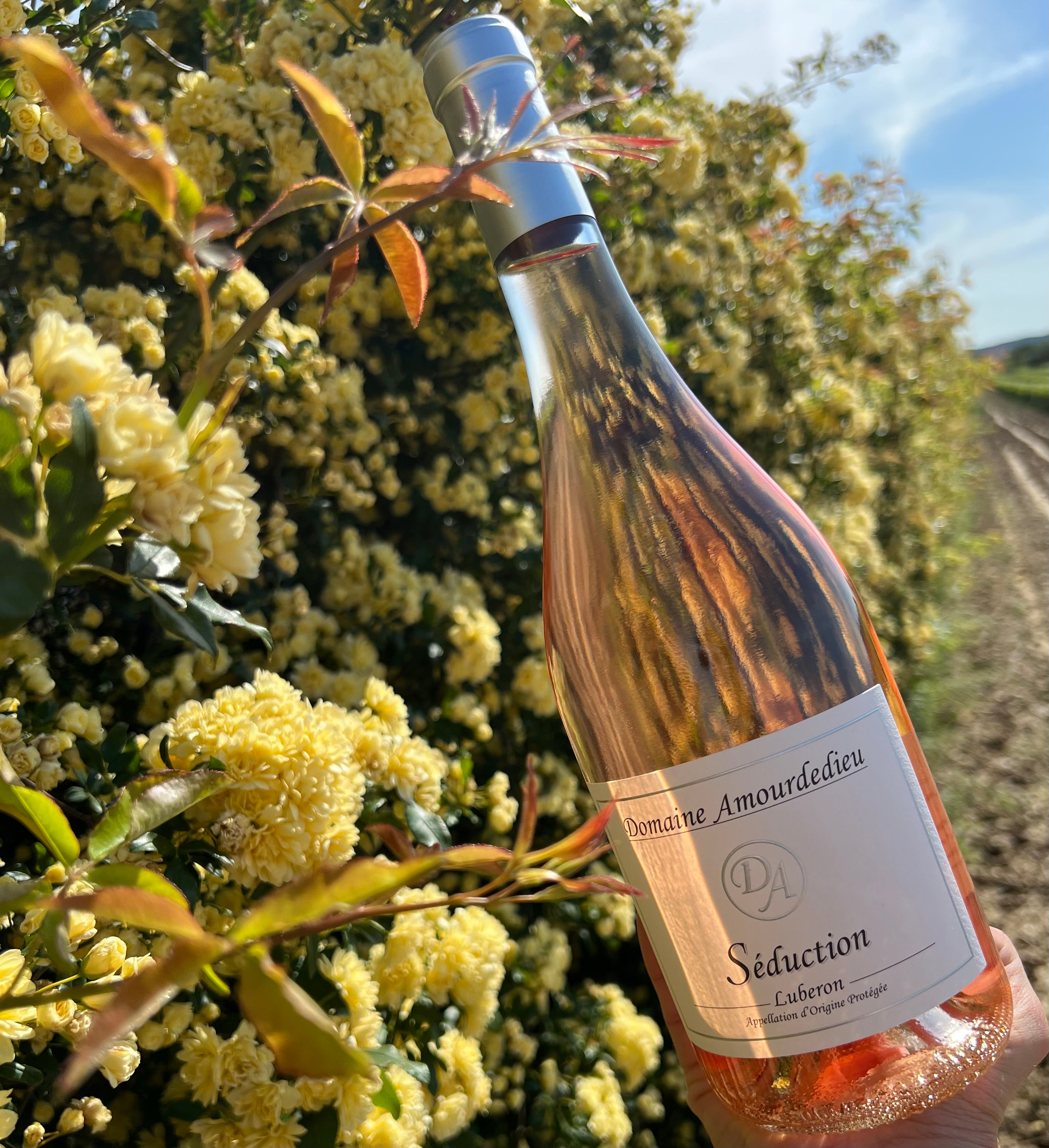 Domaine Amourdedieu