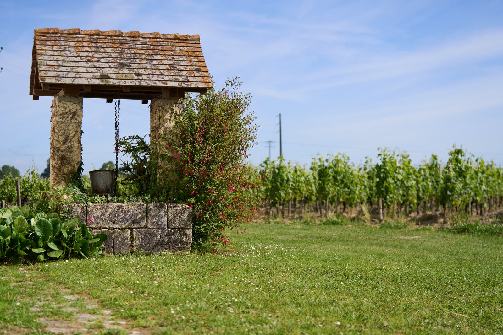 Château Haut Segottes