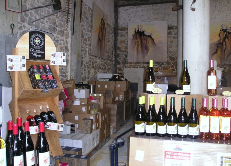 Domaine de l'Ile Saint Martin