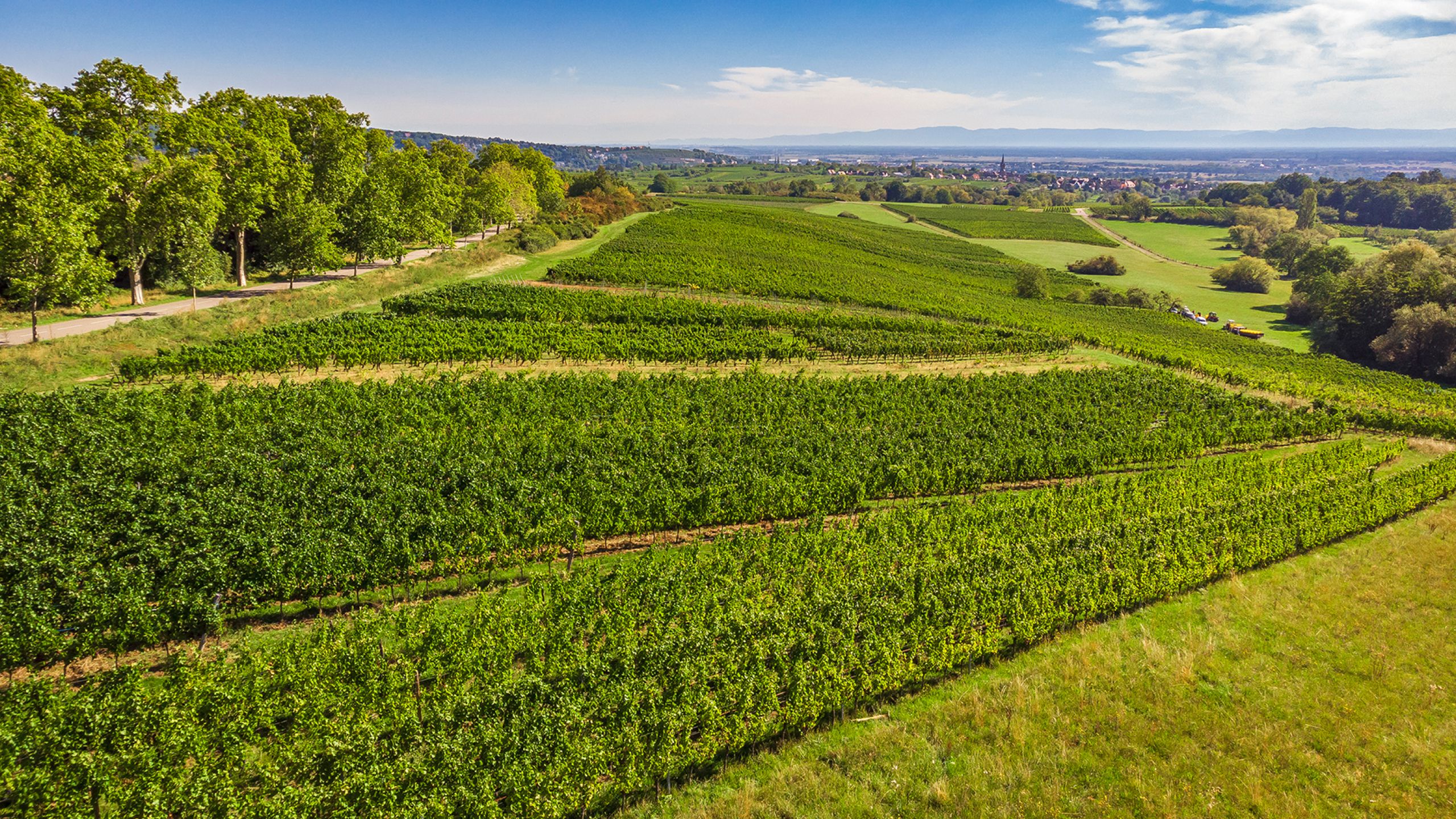 Domaine Fritz-Schmitt