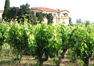Domaine La Tour La Pageze