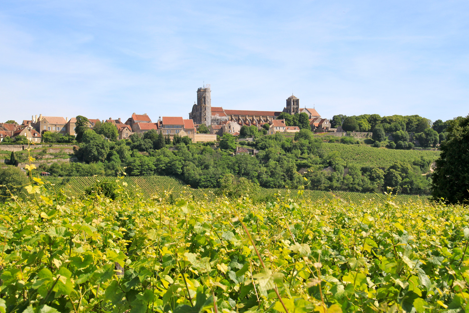 Domaine Camus Frères