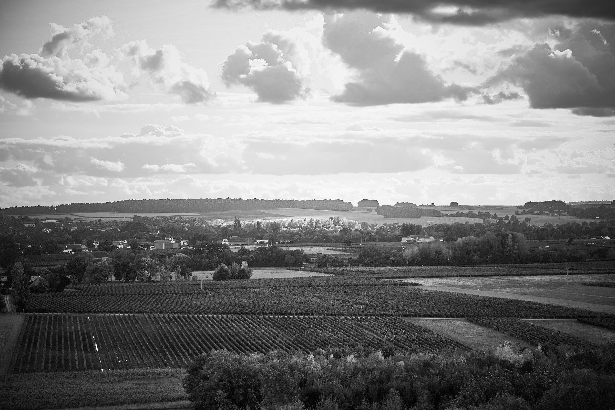 Domaine de la Chapelle