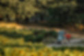 Chateau de la Selve