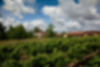 Domaine d'Espérance