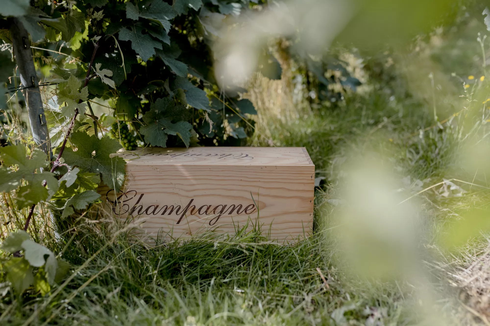 Champagne Jean-Marc Vigreux Frère